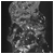 615.gif