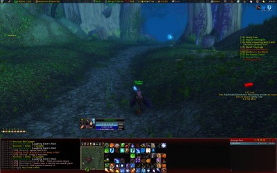 WoWScrnShot_080508_204132.jpg