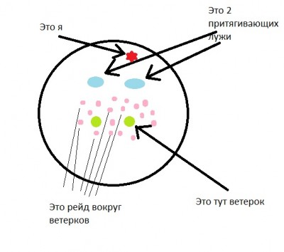 .jpg
